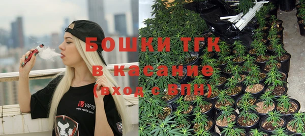 индика Абдулино