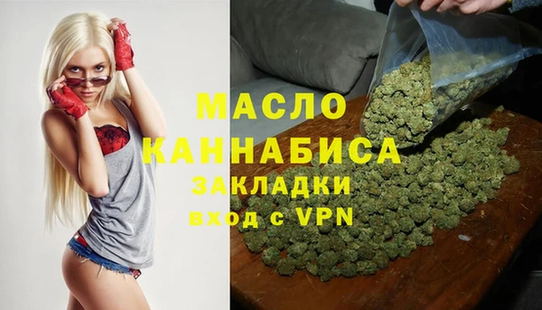 гашик Осинники